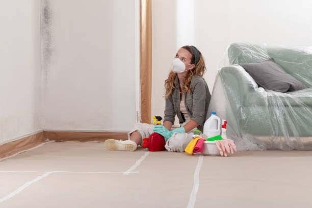 Reliable Mold Remediation contractor in Morrisville, PA by WQB Mold Removal